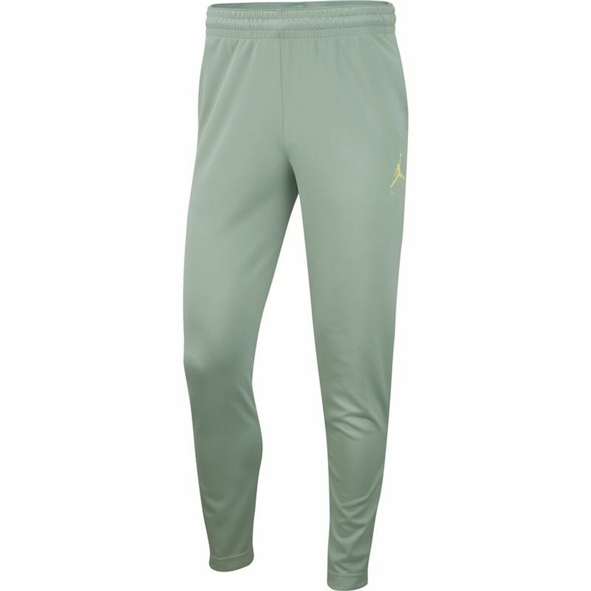 Adult Trousers Jordan Jumpman Flight  Nike Unisex Aquamarine